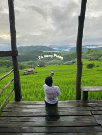 ที่พักป่าบงเปียง | เชียงใหม่ 🏡⛰️🌧️🌾