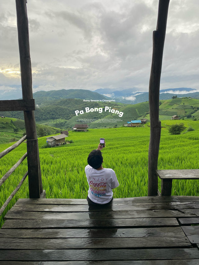 ที่พักป่าบงเปียง | เชียงใหม่ 🏡⛰️🌧️🌾