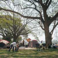 123glamp 