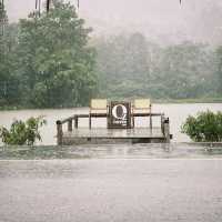 Ozone Cafe: คาเฟ่ธรรมชาติในเชียงราย