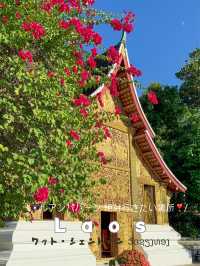【🇱🇦ラオス】世界遺産の街、ルアンパバーンで1番光り輝く場所❣️ワットシェントーン🌟