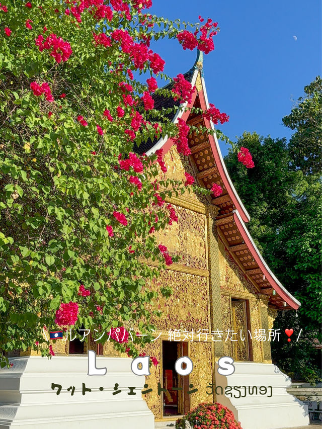 【🇱🇦ラオス】世界遺産の街、ルアンパバーンで1番光り輝く場所❣️ワットシェントーン🌟