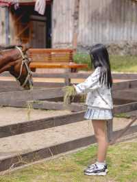 Thr Trot cafe เขาใหญ่ 