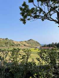 제주 산방산 근처 예쁜 뷰포인트🌴