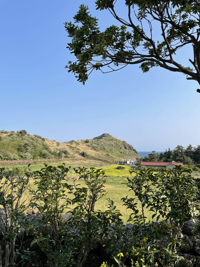제주 산방산 근처 예쁜 뷰포인트🌴