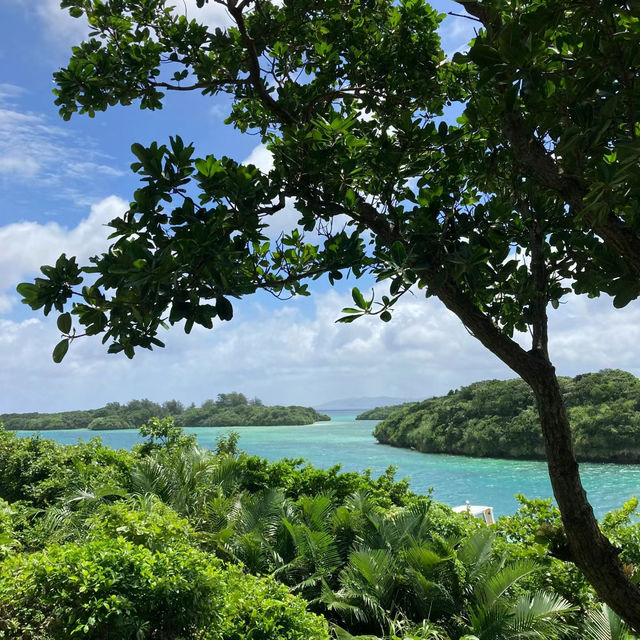 碧藍海灘，純粹快樂與寧靜🏝️🌊🐠【久米島】