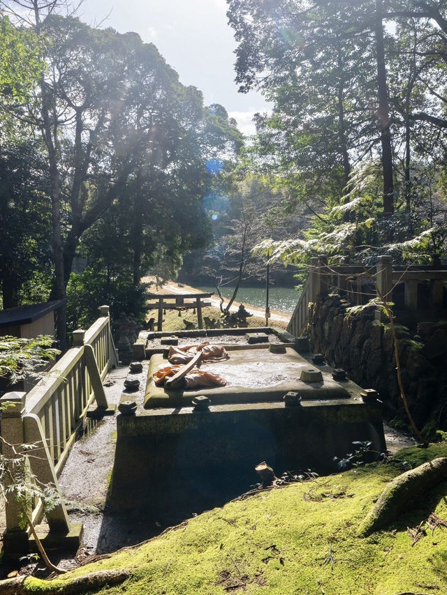 〜鳥取県〜試練に勝つ！復興と再生のパワースポット神社！
