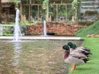 รีวิว The Scenery Vintage Farm สวนผึ้ง 