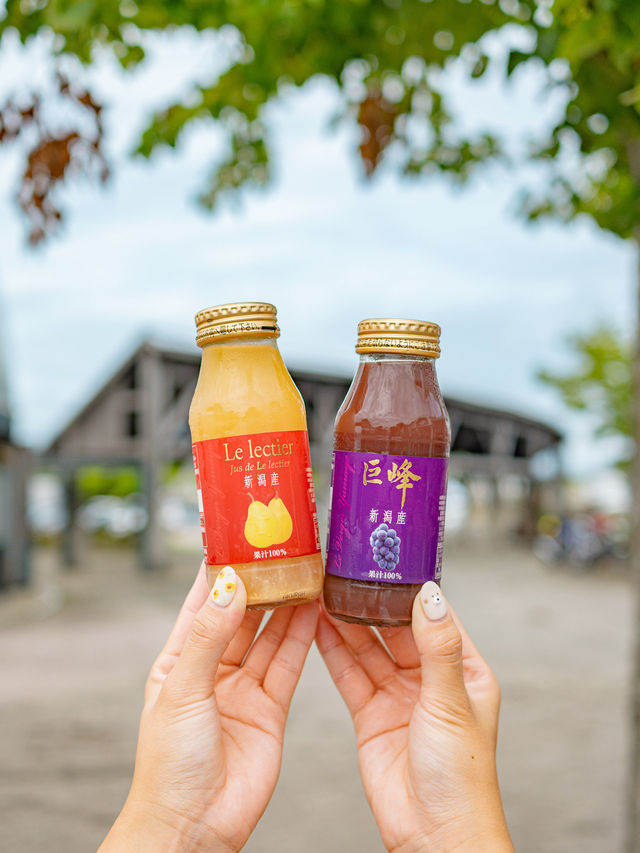 【新潟】ご当地グルメ好き必見🫧新潟で食べたいおすすめグルメ8選🍓🍽️ 