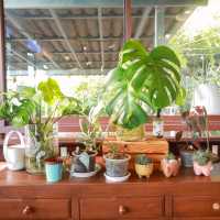 สิริสมปอง ฟาร์ม แอนด์ คาเฟ่