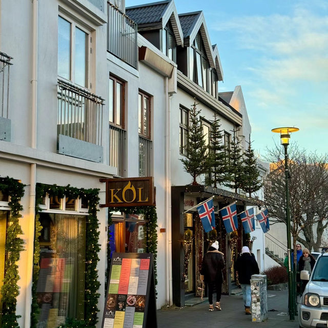 🇮🇸環遊世界｜ㄧ生必看冰島極光