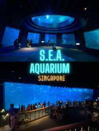 🪼 S.E.A. Aquarium ในสิงคโปร์✨