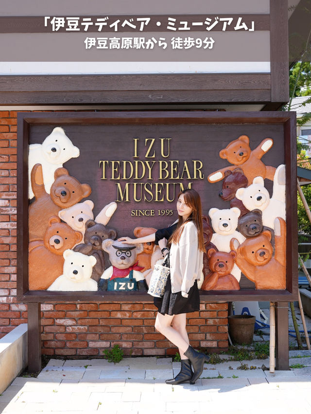 ¥3,000で食べて楽しもう！猫バスに乗りに行こう🫶