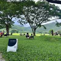 The Enlighten coffee and community