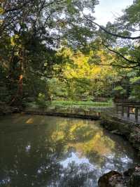 伊勢志摩の有名な神社 -伊勢神宮-