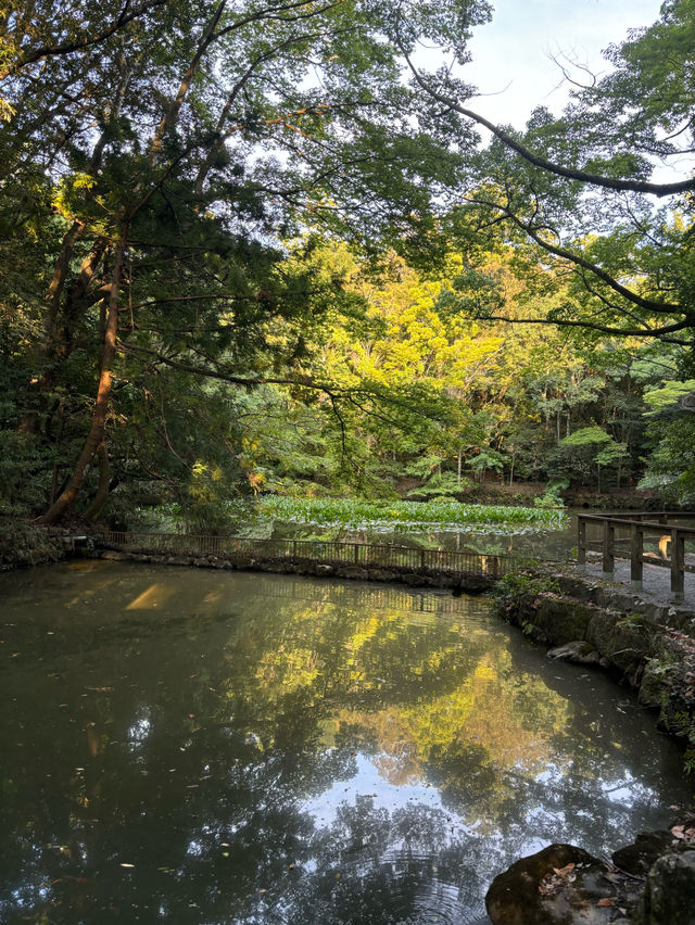 伊勢志摩の有名な神社 -伊勢神宮-