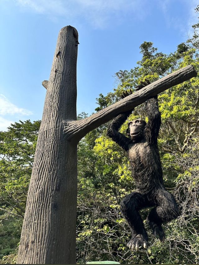 台中新竹 青蛙石天空步道