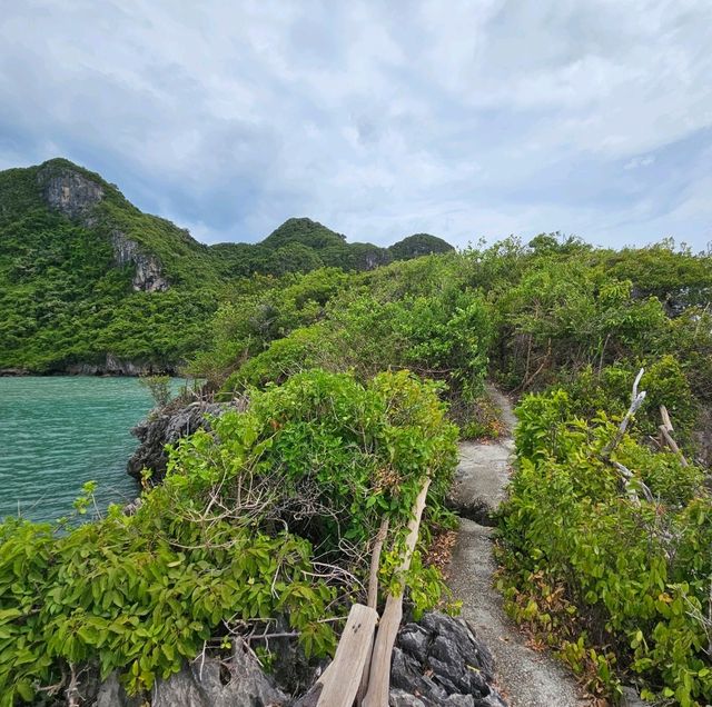 เกาะยอ ธนาคารปู ชุมพร
