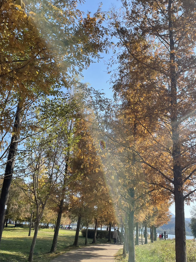 매력적인 가을 풍경의 물의정원🍂