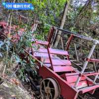 澳洲雪梨-一次體驗藍山國家公園的三種纜車
