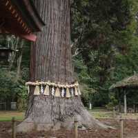 札內神社～美好紀念