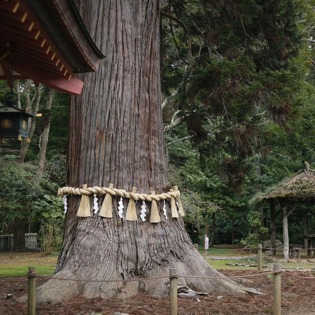 札內神社～美好紀念