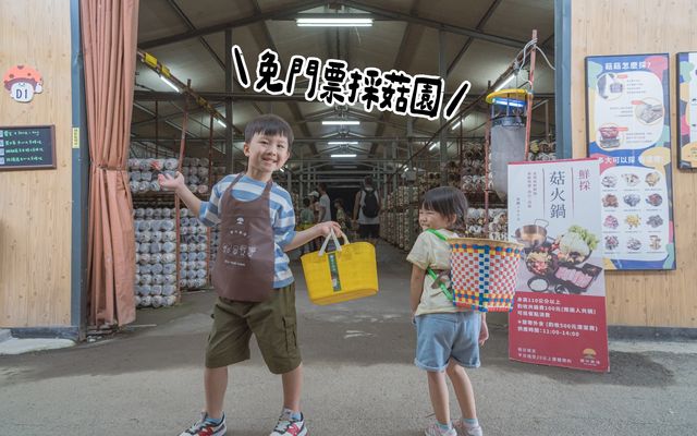 南投豐年農場｜免門票採菇、Pizza DIY、自製菇菇生態瓶