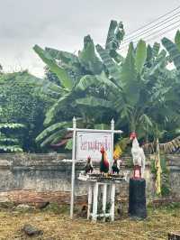 📍“กู่ไก่” อีกโบราณสถานของจังหวัดลำพูน