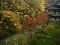 ธรรมชาติที่มหัศจรรย์สร้าง🍁”Takaragawa Onsen“