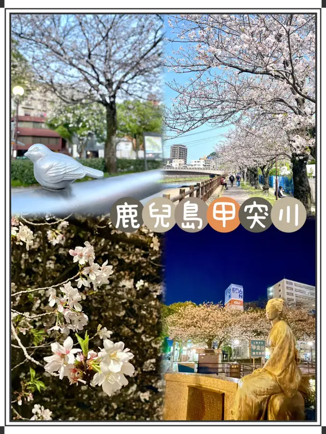 鹿兒島甲突川-貫穿鹿兒島市中心區的賞櫻名河