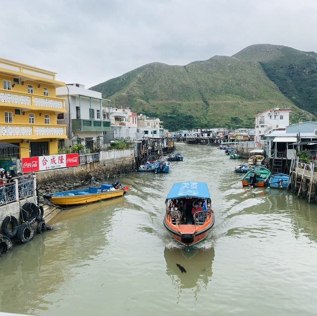 香港「貓島」： 大澳的水鄉風情之旅