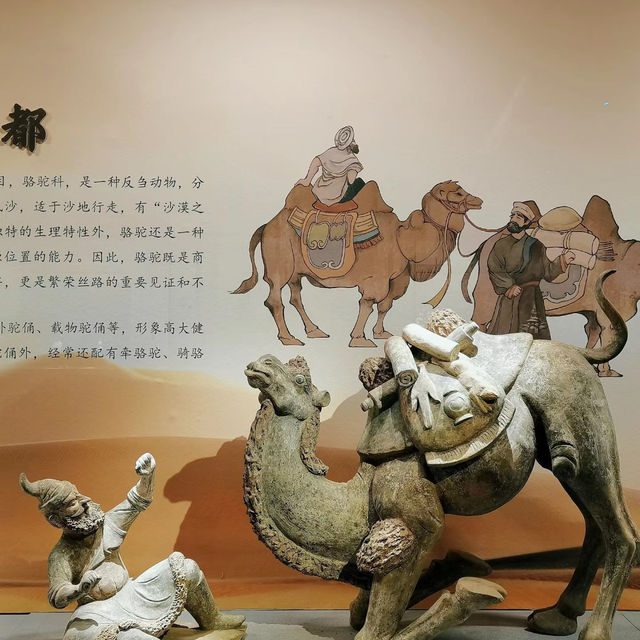 ～中山博物館～歷史寶庫～