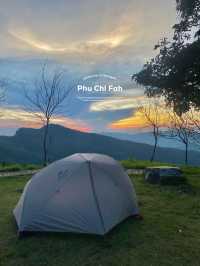 แคมป์ภูชี้ฟ้า | จ.เชียงราย ⛺️🌳☀️💫