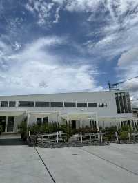 【福岡カフェ】室内なのにグリーンがいっぱいの癒し系カフェ🌿