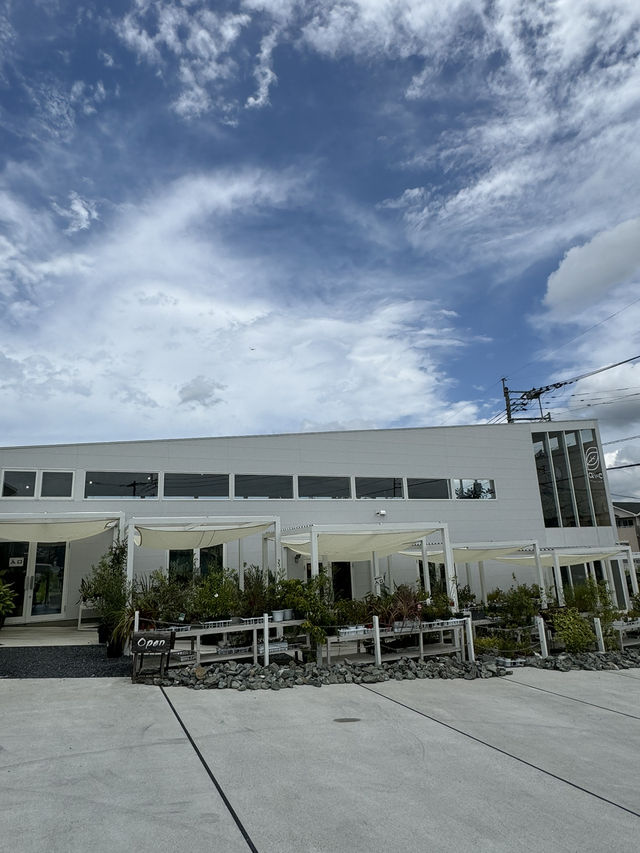 【福岡カフェ】室内なのにグリーンがいっぱいの癒し系カフェ🌿