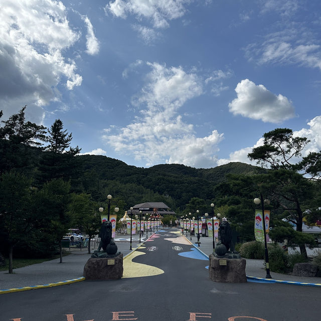충청도에서 액티비티를 하고싶다면 필수 방문 코스❗️
