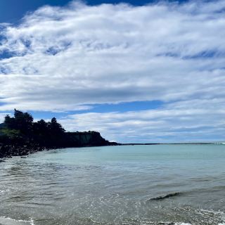 New Zealand's Timaru Dashing Rock: Sea and Seals