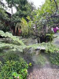 Lalitta Café ป่าในจินตนาการ