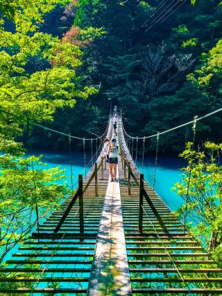 【靜岡】閃耀著翡翠綠光芒的夢之吊橋