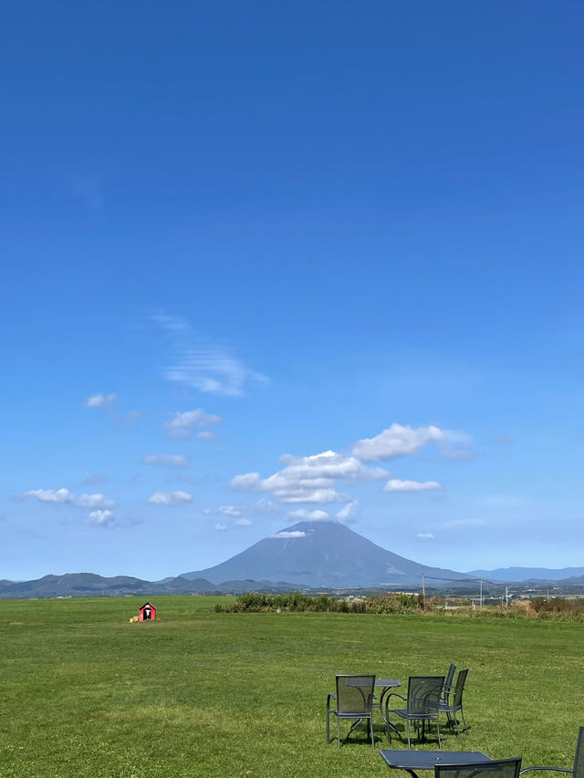 【北海道:洞爺湖】コスモス畑が美しいレイクヒルファーム