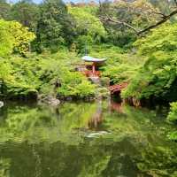 【京都】神社仏閣巡り 世界遺産醍醐寺を巡る
