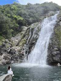 屋久島 ❤︎ ベストシーズン到来❣️世界自然遺産の絶景✨