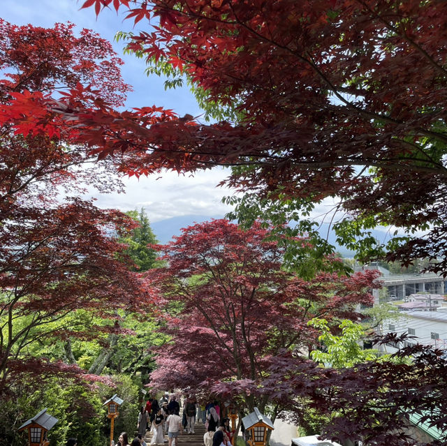 Reflections of Mount Fuji: A day trip to Lake Kawaguchiko from Tokyo