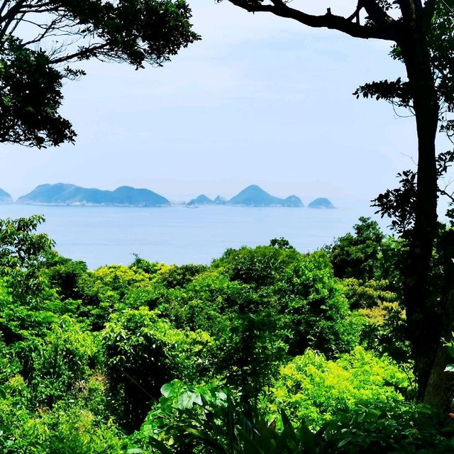 大坑墩清水灣郊野公園