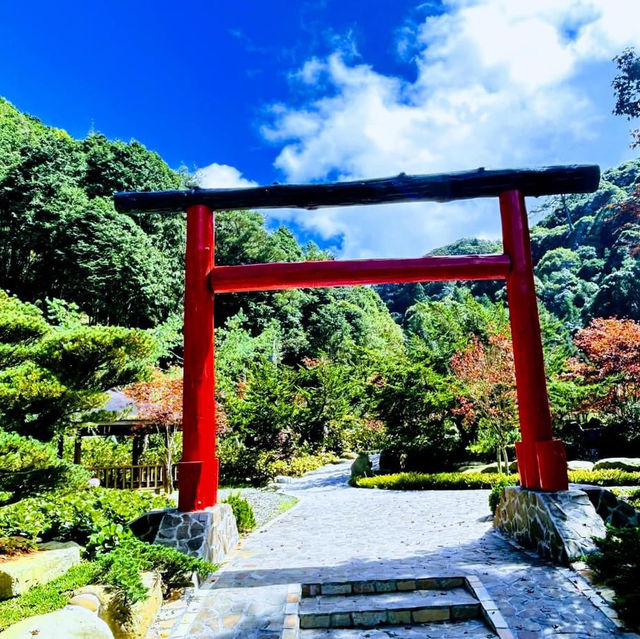 杉林溪森林遊樂區