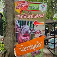 สวนสัตว์เปิดเขาเขียว ชลบุรี