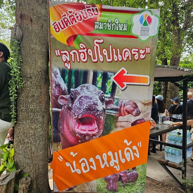 สวนสัตว์เปิดเขาเขียว ชลบุรี