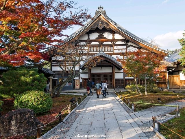 วัดโคไดจิ (Kodaiji)