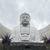 Photogenic Majestic Buddha Statue