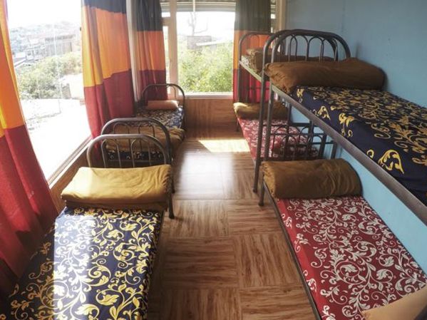 Free Dumb Hostel